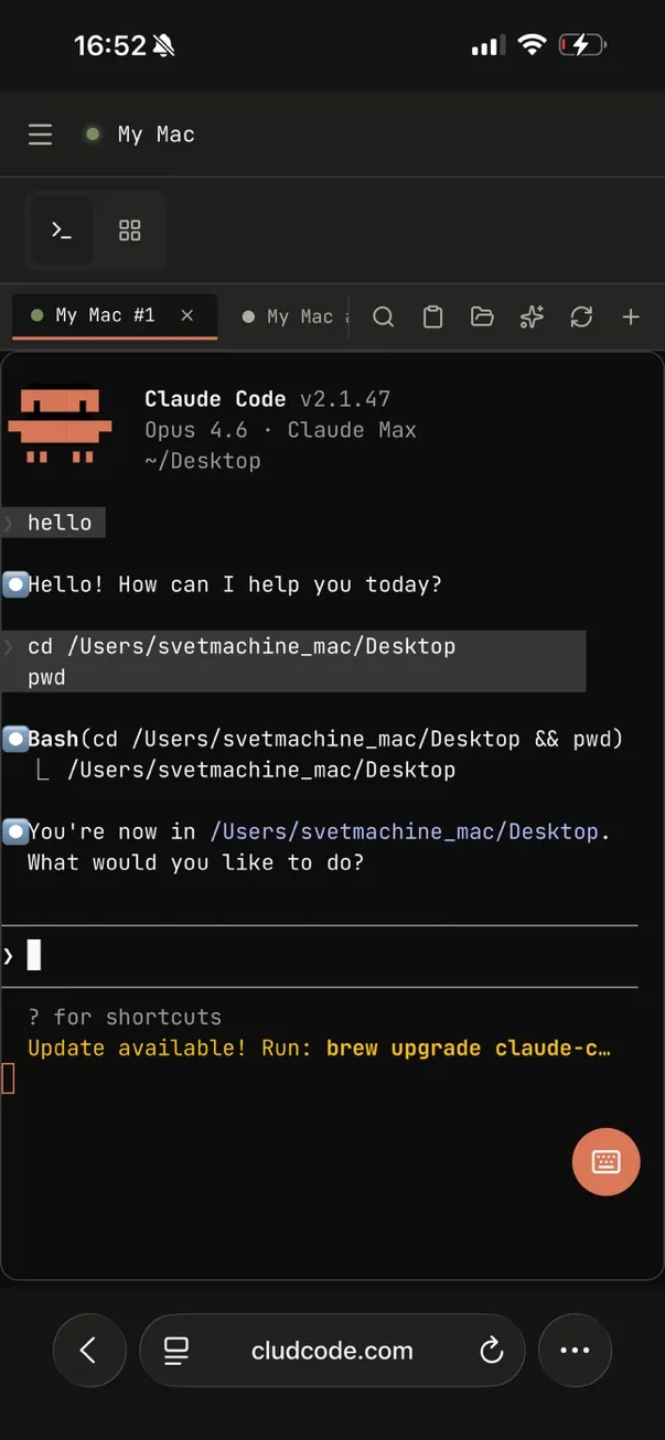 CludCode running on iPhone with Claude Code terminal